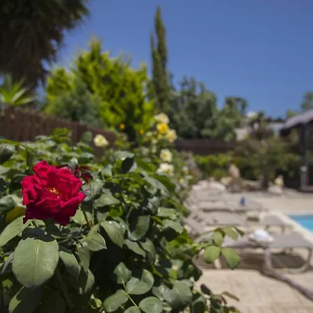 Ayia Napa Napa Gardens Villa *